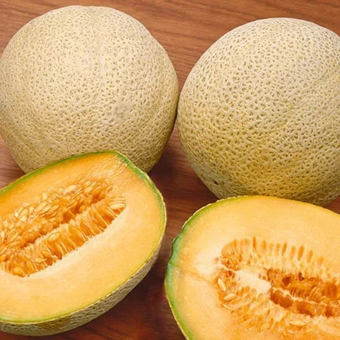 Organic Jambo Cantaloupe Seeds - 100 Pack, Cucumis melo, Sweet Juicy Melons for Home Gardens, Free Shipping USA