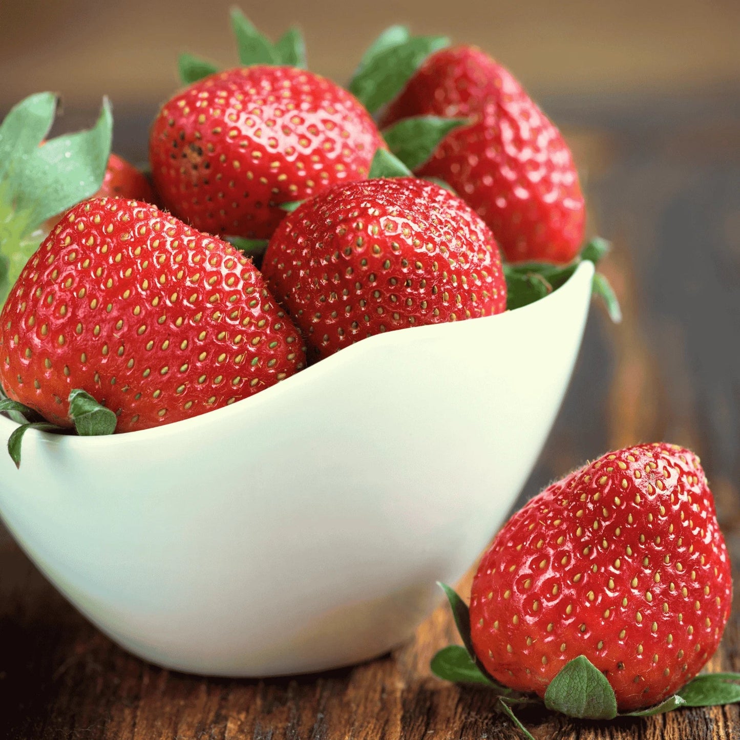 Cabot Strawberry Roots – Extra-Large Bare Root Plants, June-Bearing Fragaria × ananassa, Sweet, Perennial, Home Garden