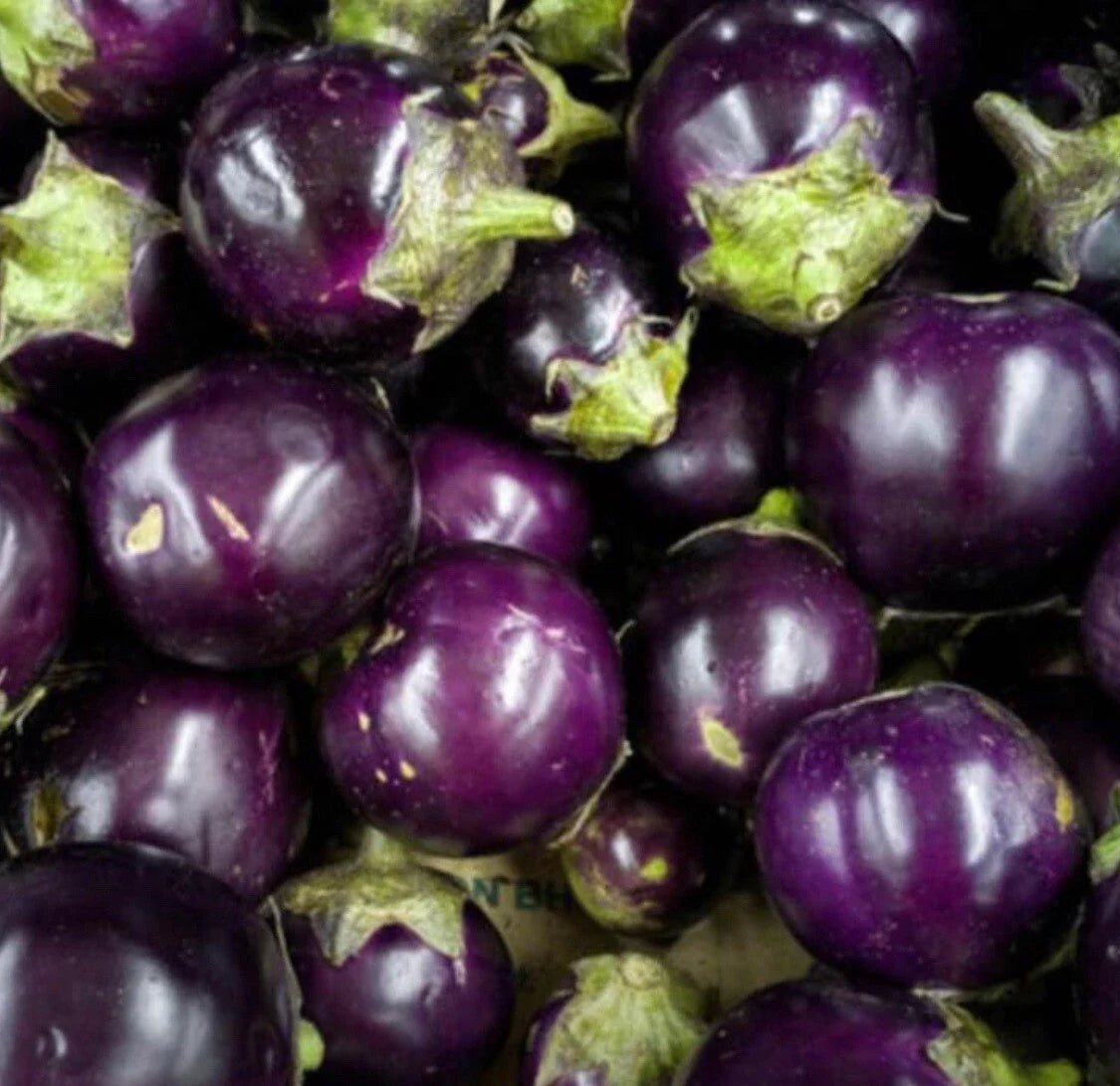 Round Purple Eggplant Seeds - Thai/Indian Heirloom Solanum melongena, 50+ Seeds, Non-GMO, Easy to Grow, Container Friendly
