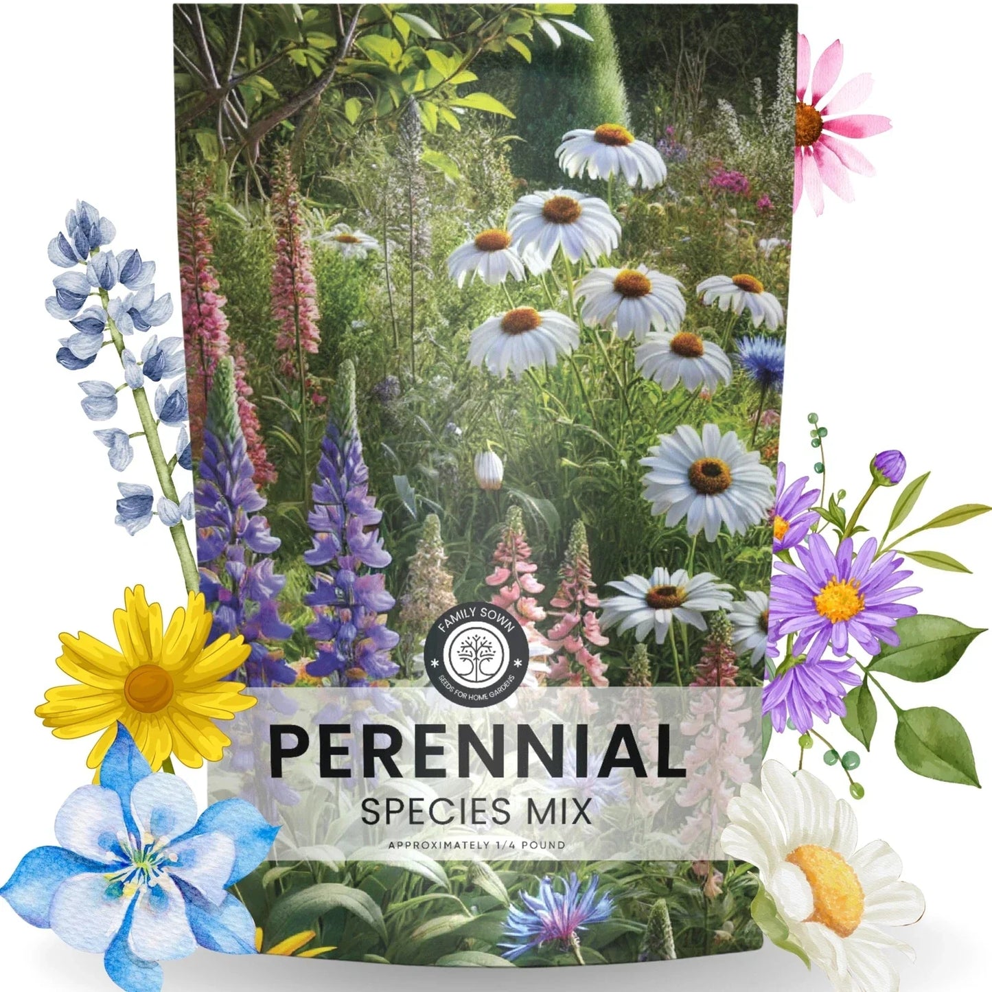 Perennial Wildflower Seed Mix Bulk 1/4 Pound - 60,000 Native Flower Seeds for Pollinator Gardens