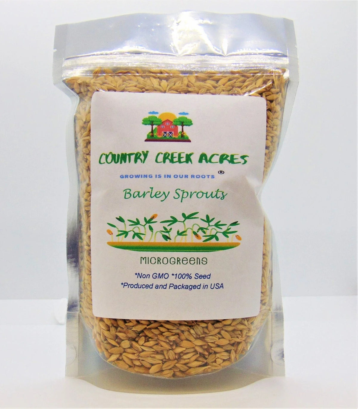 8 oz Non-GMO Barley Microgreen Seeds for Sprouting - Hordeum vulgare, Healthy Home Grown Sprouts