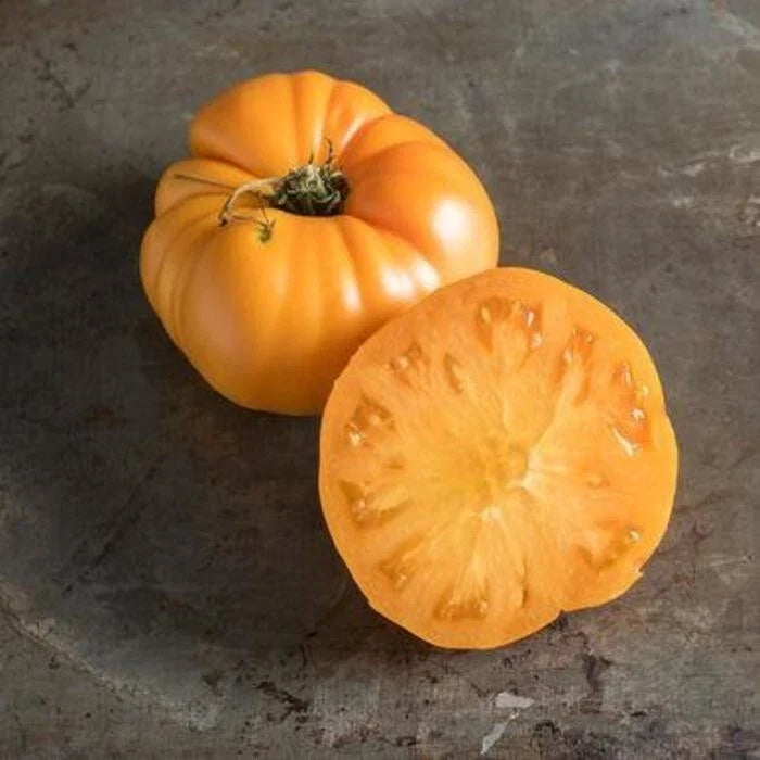 Yellow Brandywine Tomato Seeds – Organic Non-GMO Heirloom Solanum lycopersicum, 120+ Seeds for Home Garden & Container Planting