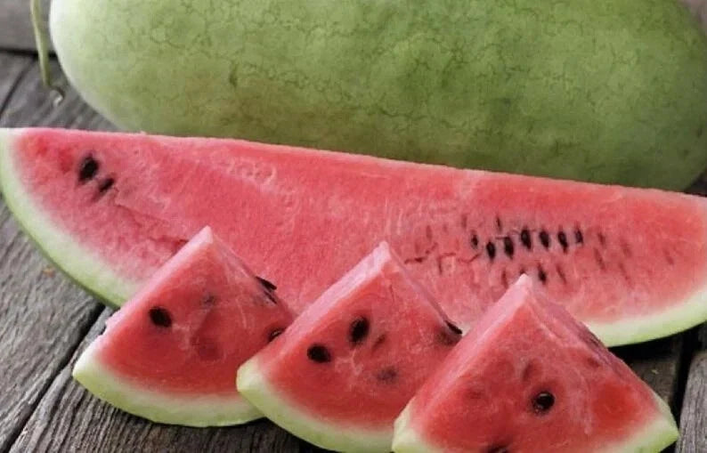 Organic Charleston Grey Watermelon Seeds - Heirloom Non-GMO, USA Grown, Packaged for Home Gardening