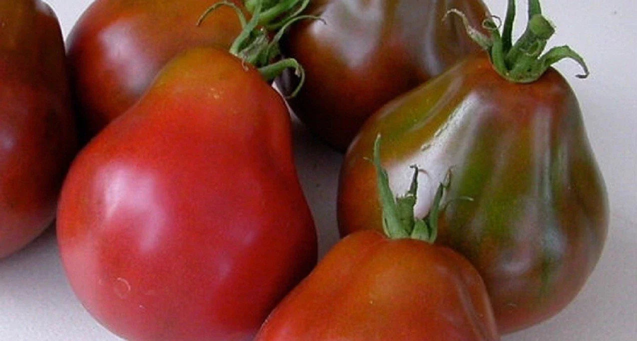 Black Truffle Tomato Seeds NON-GMO Japanese Black Trifele Heirloom Potato Leaf