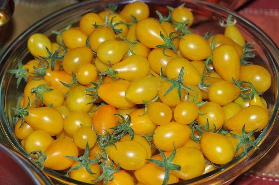 Yellow Pear Tomato Seeds - 120+ Heirloom Non-GMO Organic Seeds