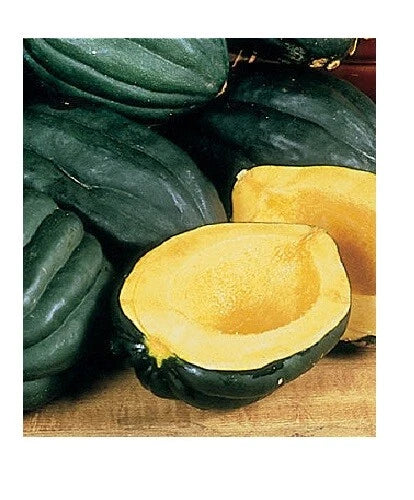 Table Queen Acorn Squash Seeds - Heirloom Bush Variety for Winter Gardens - Cucurbita pepo, Compact Growth, Edible Fruit