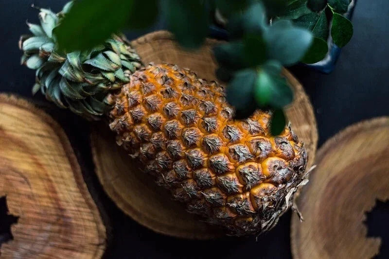 Giant Kew Pineapple Seeds – Ananas comosus – 15+ Non-GMO Seeds for Home Garden & Container Planting