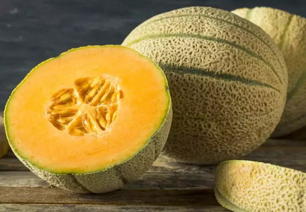 25+ Honey Rock Cantaloupe Seeds - Heirloom Organic Non-GMO Melon Seeds
