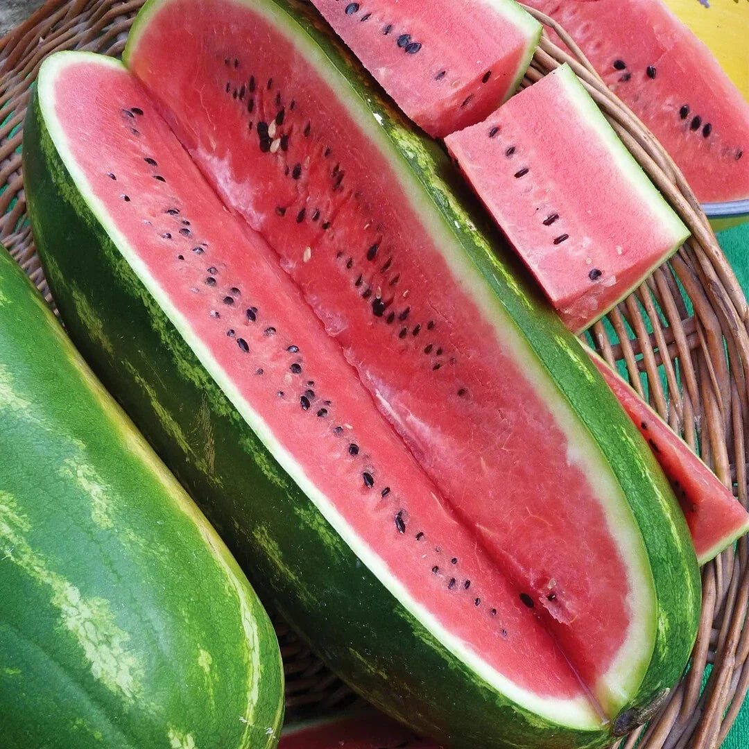 Jubilee Watermelon Seeds – 50+ Pack, Citrullus lanatus, Non-GMO, USA Grown, for Home Garden, Juicy, Sweet Melons