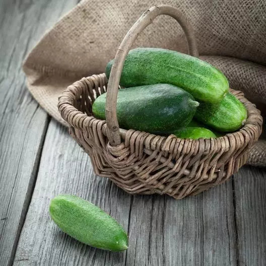 60 Non-GMO Spacemaster Cucumber Seeds | Compact, High Yield Vegetable Seeds
