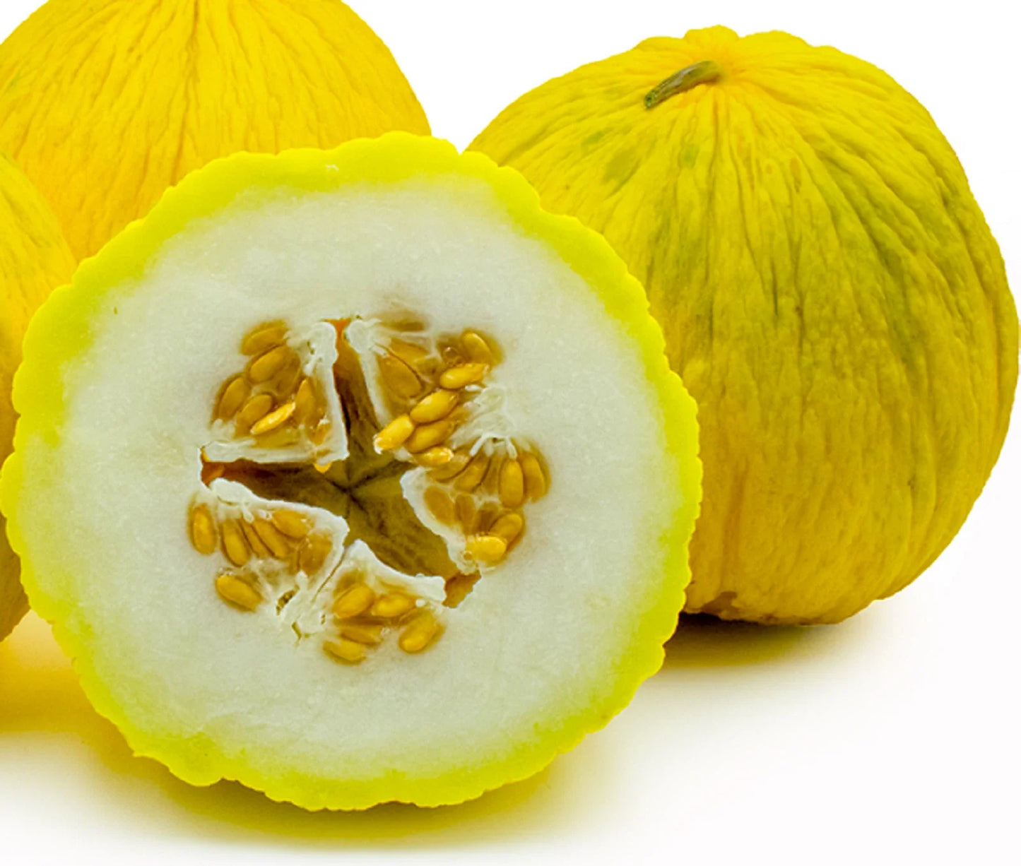 Golden Beauty Casaba Melon Seeds - Non-GMO Heirloom Cucumis melo for Home Garden, Container Growing, Juicy Summer Melons