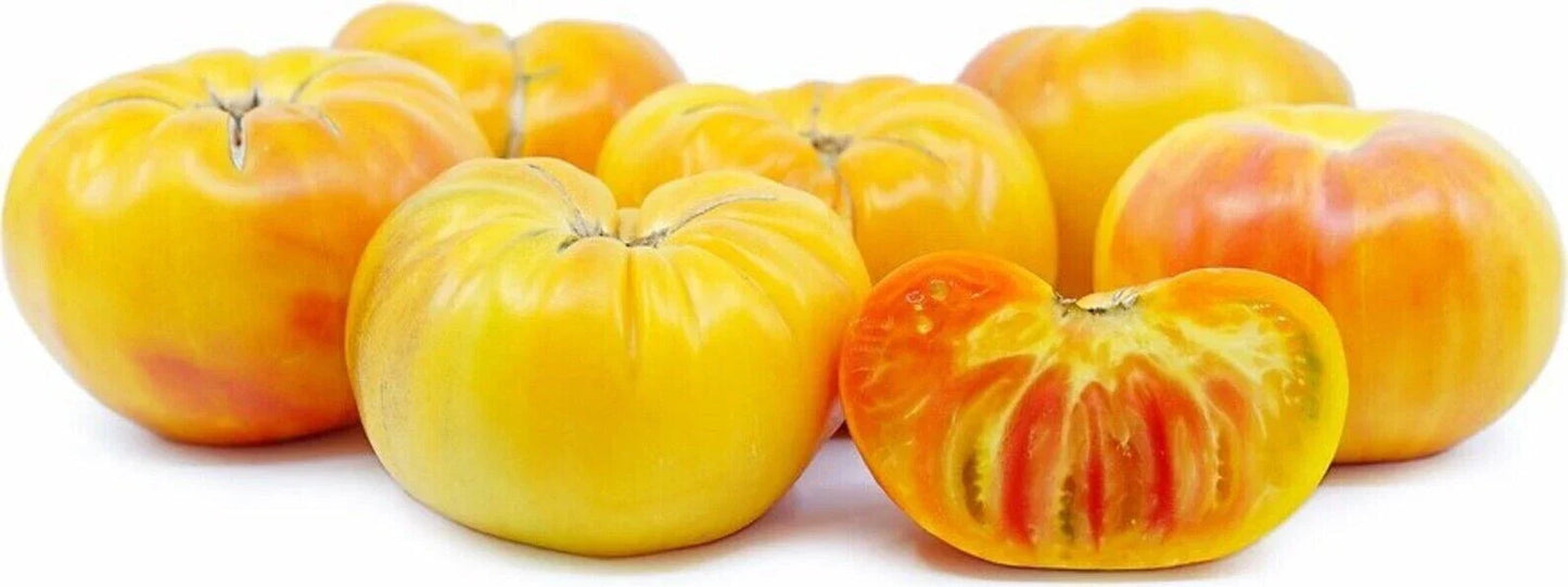 Pineapple Tomato Seeds - 120+ Heirloom Organic NON-GMO - Solanum lycopersicum