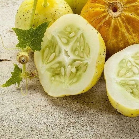 Lemon Cucumber Seeds - Heirloom Non-GMO Cucumis sativus - Garden Seeds with Tracking