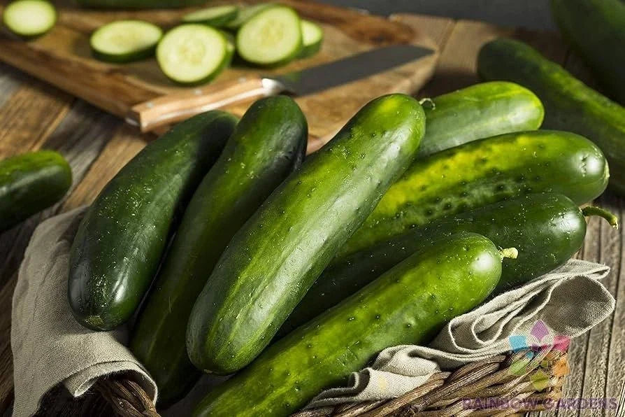 Sweeter Yet Cucumber Seeds Pack of 25+ | Heirloom Cucumis sativus for Garden, Salad & Pickling | Non-GMO, Fast-Growing, Full Sun