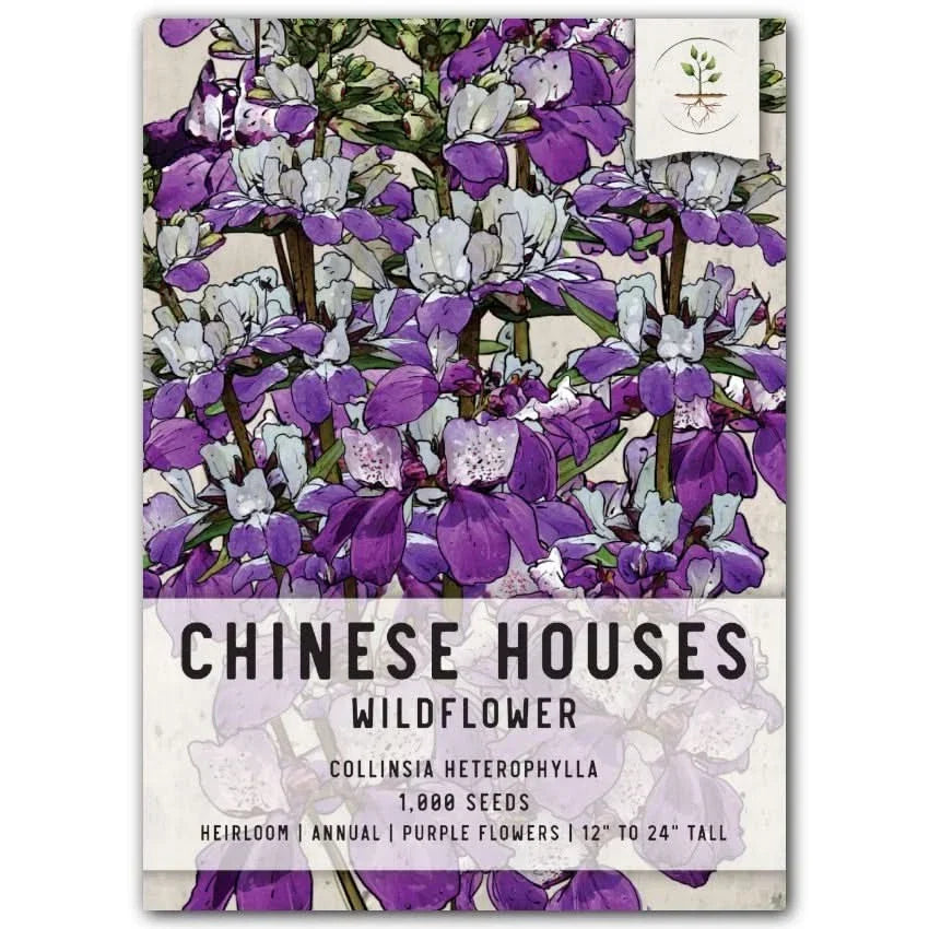 Chinese Houses Seeds - Collinsia heterophylla Annual Wildflower for Pollinators