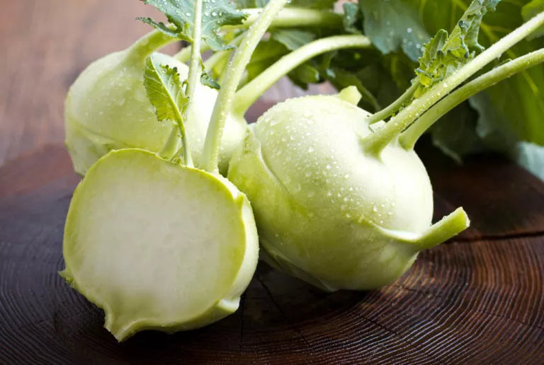 Early White Vienna Kohlrabi Seeds - NON-GMO Heirloom Vegetable Seeds