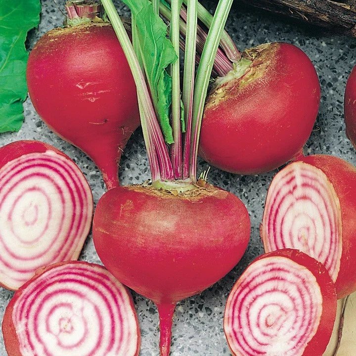 Chioggia Beet Seeds - NON-GMO Candy Stripe Beta vulgaris for Garden, Heirloom, Organic, Root Vegetable
