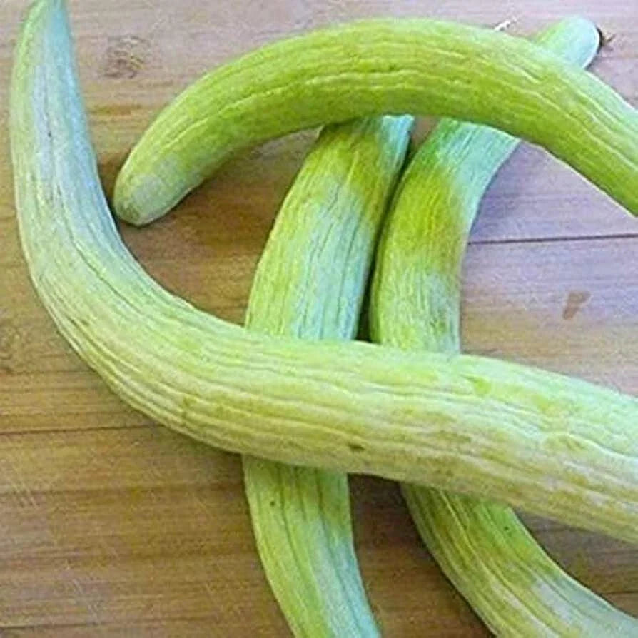 Serpent Armenian Cucumber Seeds – Organic Heirloom Cucumis melo var. flexuosus, 20 Pack, Vining, Non-GMO, Garden Supplies