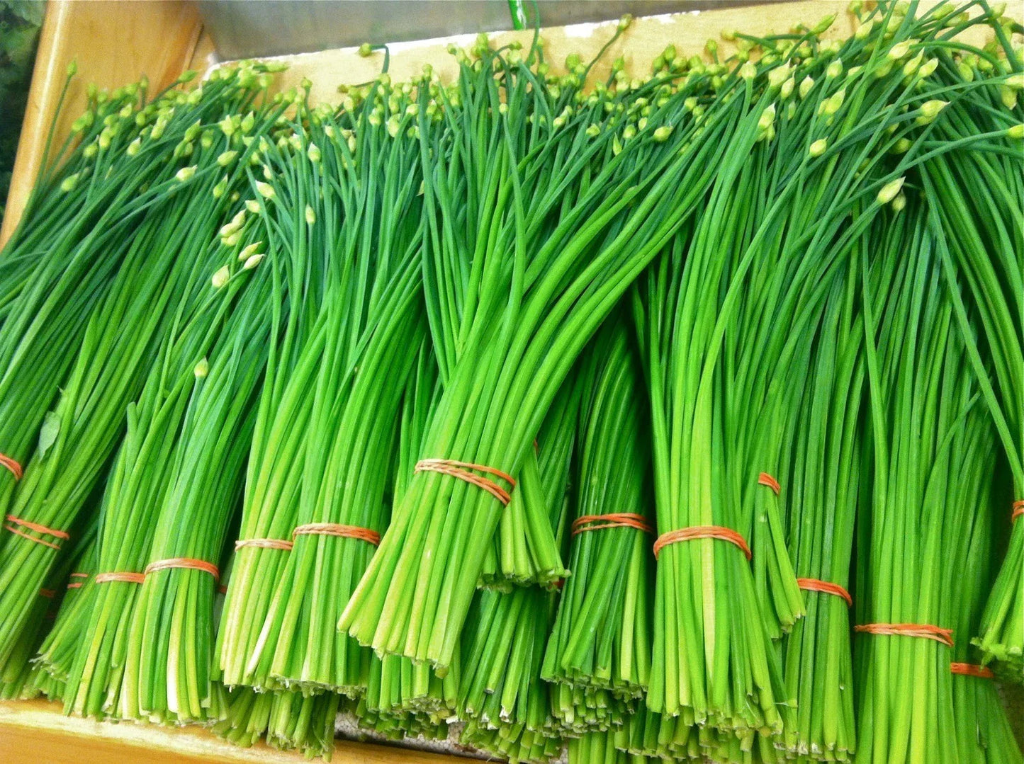 Garlic Chives Seeds - 100+ Organic Heirloom Non-GMO Perennial Herb Allium tuberosum