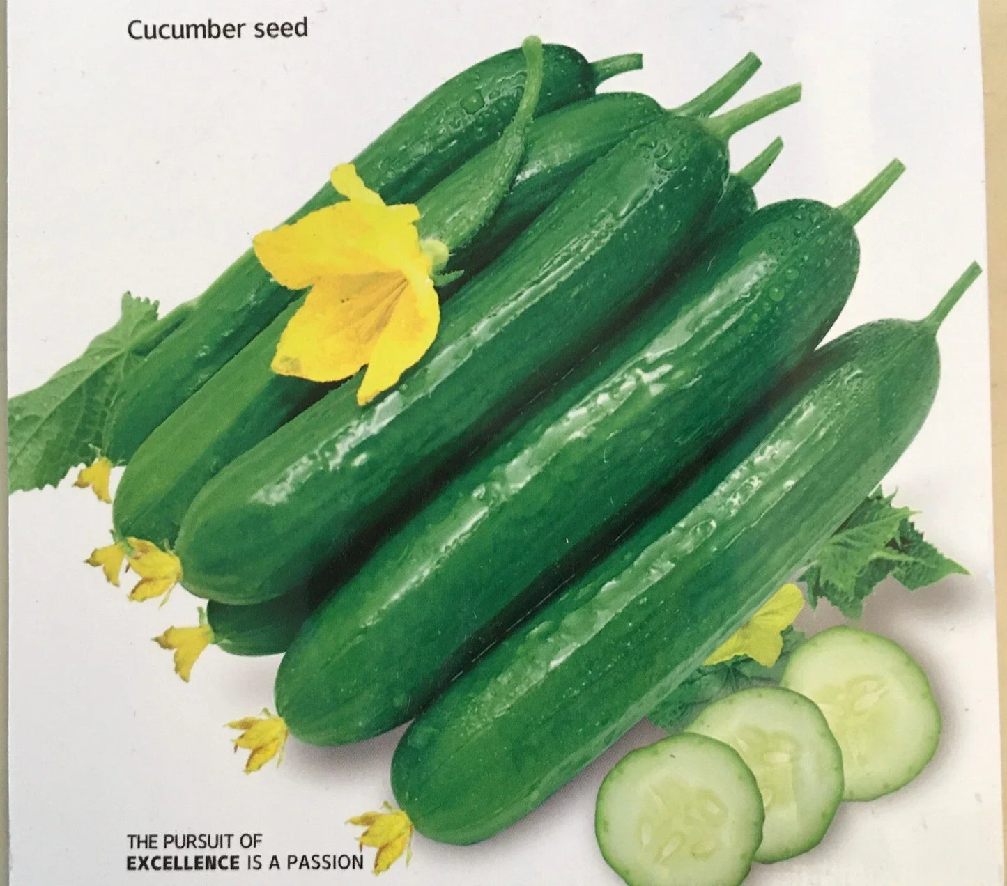 Chinese Fruit Cucumber Seeds - Burpless Hybrid Mini Cucumber - 15+ Seeds USA