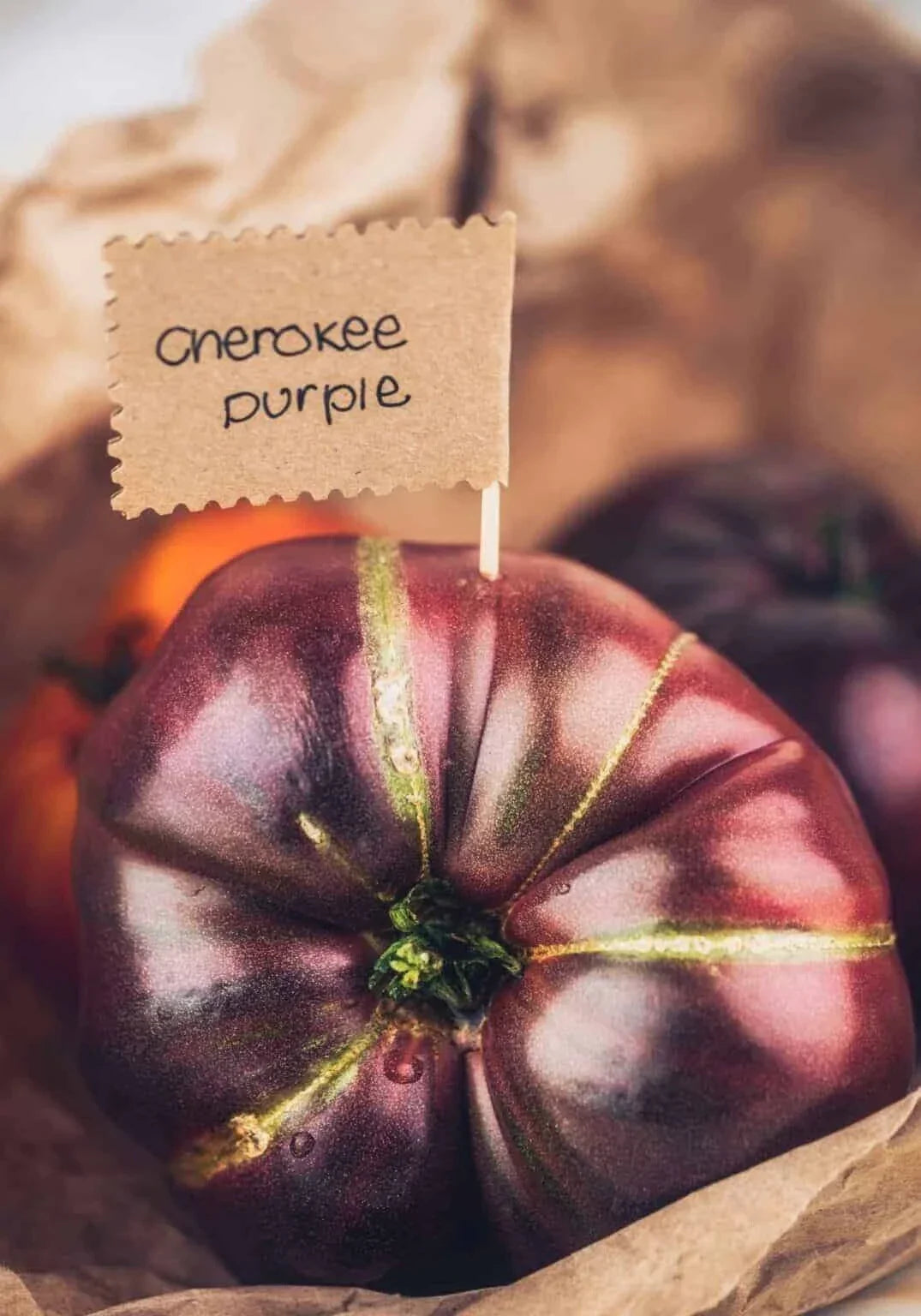 Cherokee Purple Tomato Seeds - Heirloom Organic Non-GMO - 30+ Seeds for Planting
