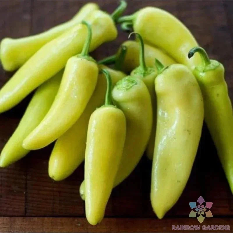 Hungarian Yellow Hot Wax Pepper Seeds – Pack of 25+ Capsicum annuum for Gardening, Spicy Yellow Peppers, USA Grown