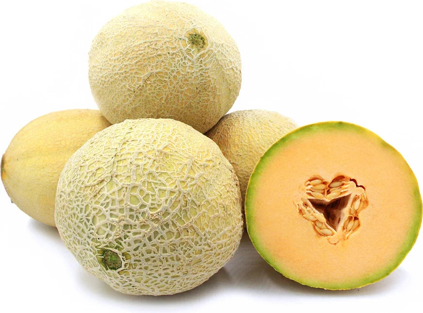 Goddess Cantaloupe Seeds - Non-GMO, Sweet & Juicy Melon Seeds for Planting - Cucumis melo, Vining, Packet of 20