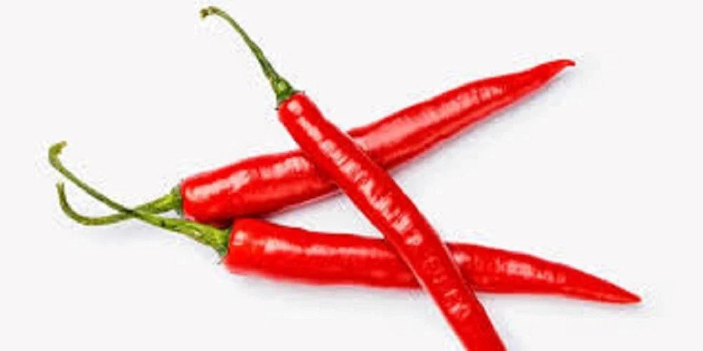 Cayenne Hot Pepper Seeds - Long Red Thin Variety - 40,000 Scoville Units - Capsicum annuum - Spicy Culinary Pepper Seeds