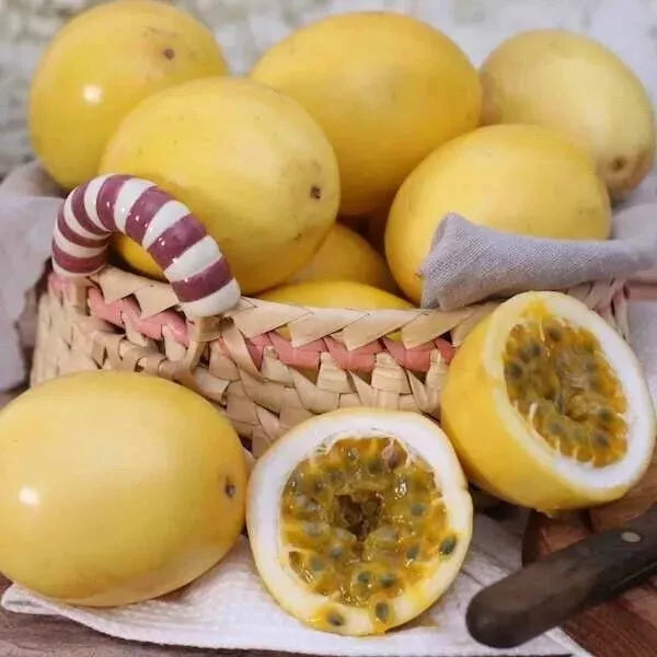 Yellow Passion Fruit Seeds - 30 Pack Sweet Granadilla Passiflora Ligularis 2024 USA
