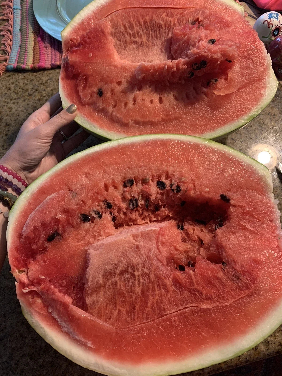 Watermelon Seeds - Organic Non-GMO Homegrown Edible Melon Seeds - Citrullus lanatus, Vining, Juicy Fruit, 15 Pack