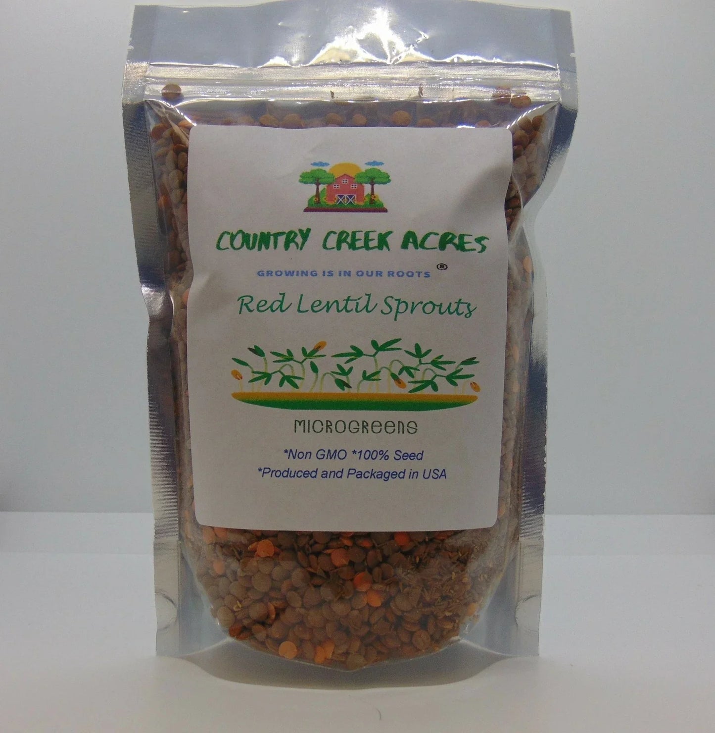 Red Lentils 2 oz - High Protein, Gluten-Free Legumes | Lens culinaris