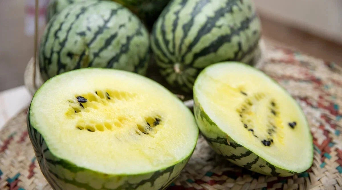 Cream of Saskatchewan Watermelon Seeds - Heirloom Citrullus lanatus Pack of 50+ for Home Garden Cultivation