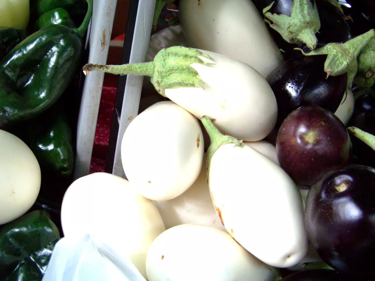 White Casper Eggplant Seeds - Rare Heirloom Solanum melongena - 25 Pack USA Grown