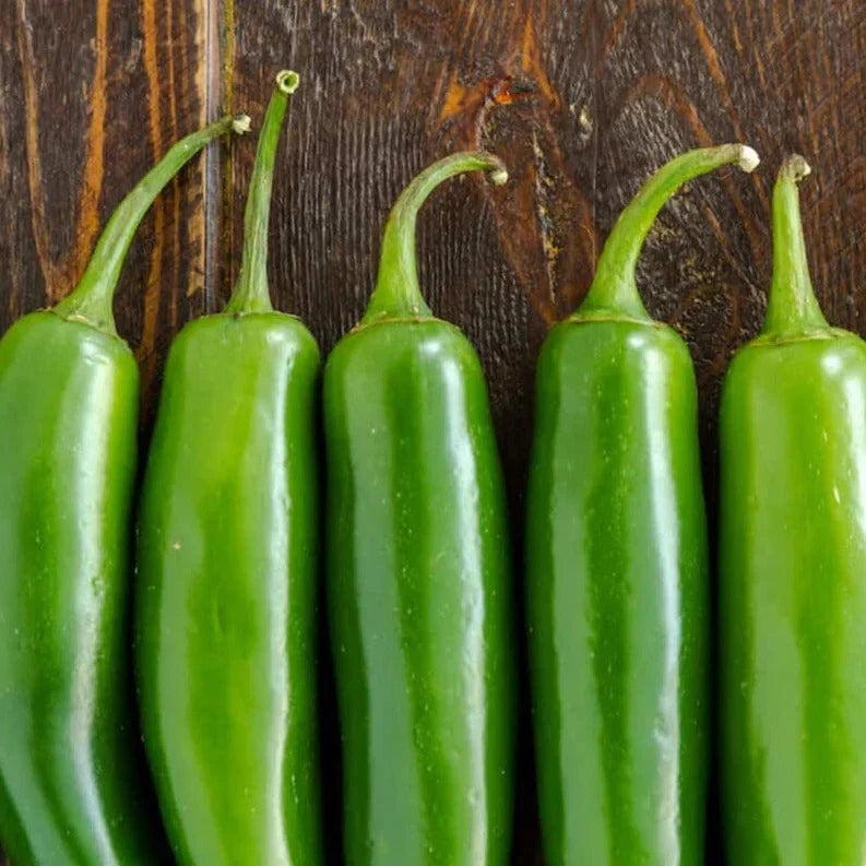Serrano Pepper Seeds - 23,000 Scoville - Green Mexican Verde - Capsicum annuum, Spicy Culinary Plant, 100 Pack
