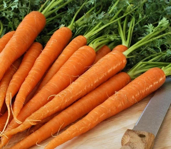 Tendersweet Carrot Seeds - 200 Pack Non-GMO Coreless for Juicing, Canning, Raw Daucus carota