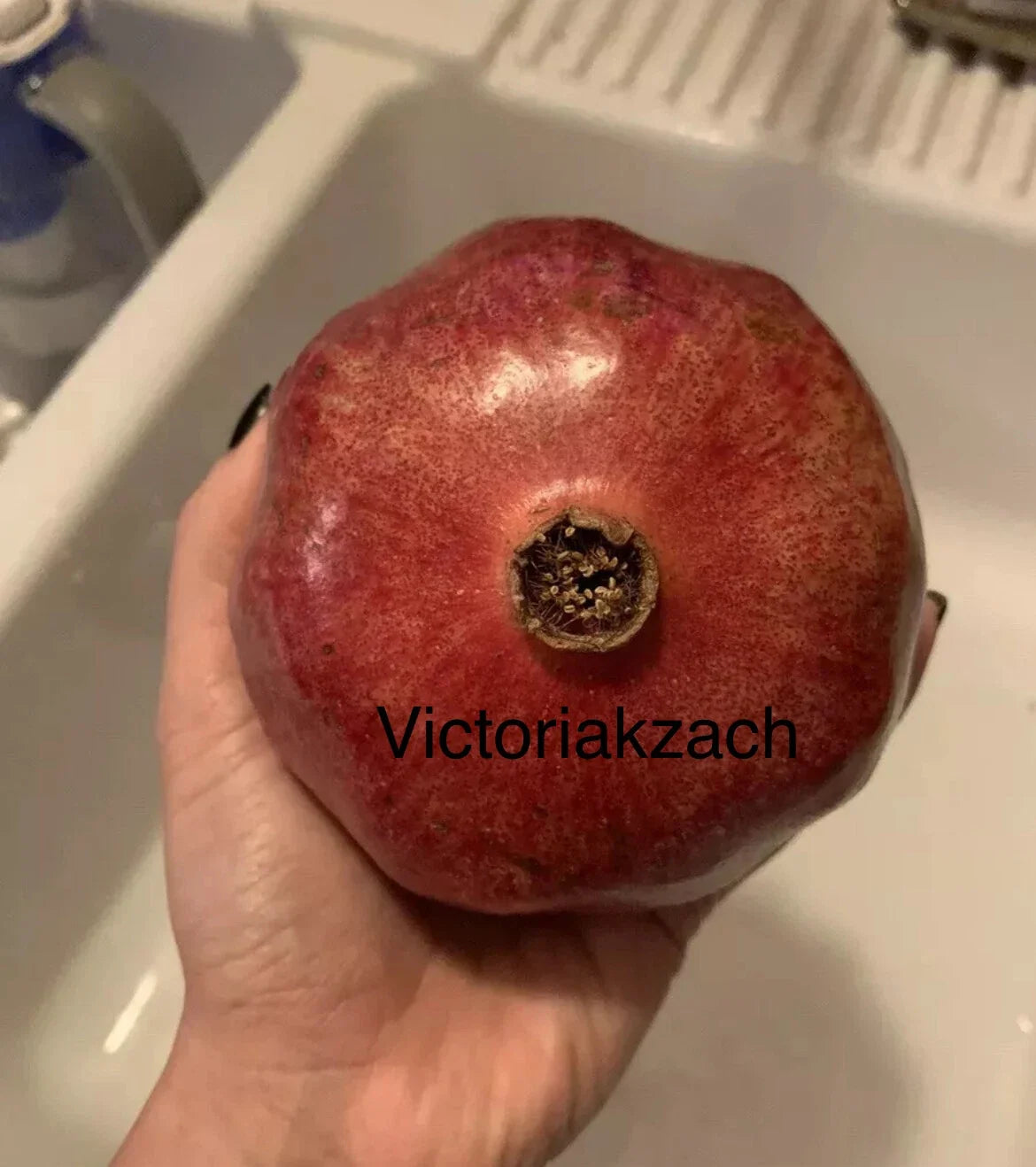Organic Pomegranate Seeds Non-GMO for Garden, Edible Fruit Tree, Punica granatum, Grenadine Juice, Home Growing Pack