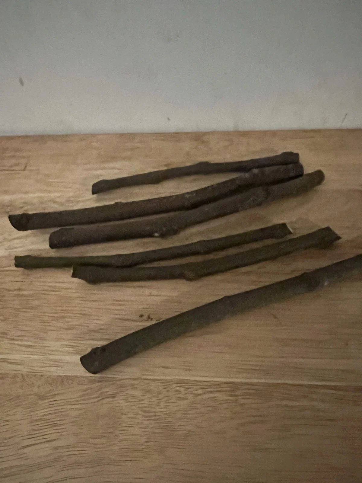 LSU Purple Fig Cuttings 6 Pack - Hardwood Propagation Ficus carica for Home Garden