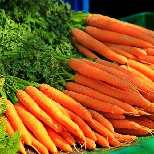Tendersweet Carrot Seeds - Organic Non-GMO Heirloom Daucus carota Seed Packet for Home Gardening