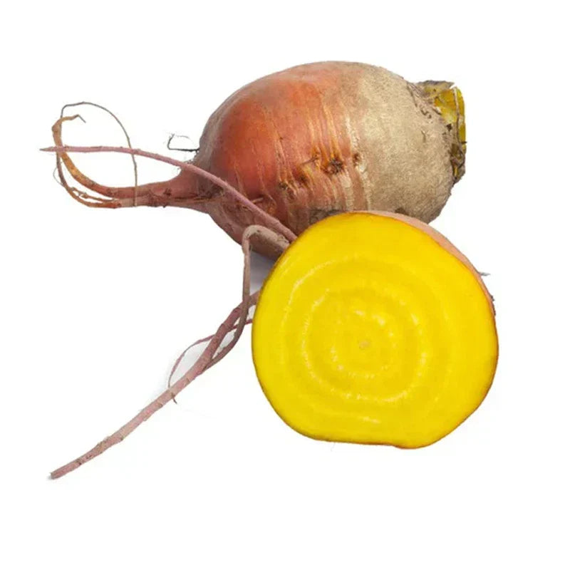 Golden Beet Seeds | Heirloom Non-GMO Beta vulgaris Seeds | Fresh Garden Seeds