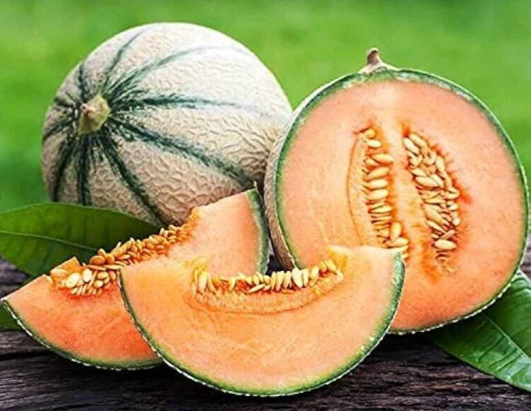 Premium Charentais Melon Seeds - 20 Fresh Super Sweet Cucumis melo Seeds