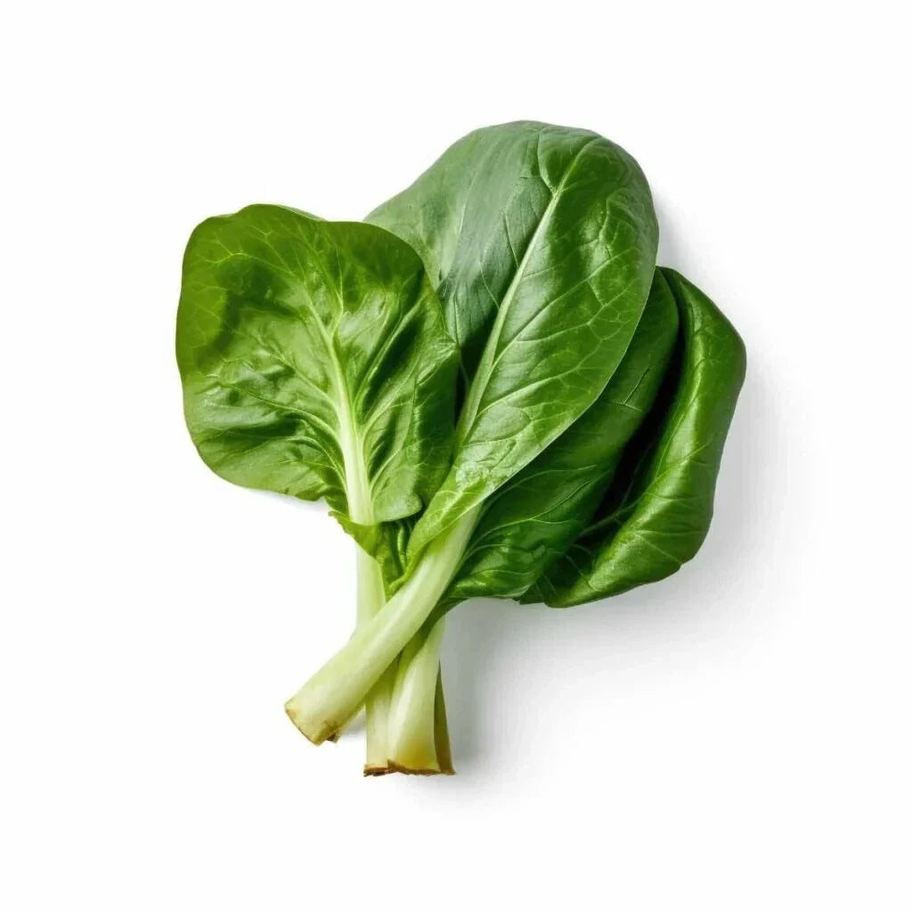 Choy Sum Cabbage Seeds - Brassica rapa Subsp. chinensis - 500+ Non-GMO Seeds for Gardening, Fast Germination, Home & Container Planting