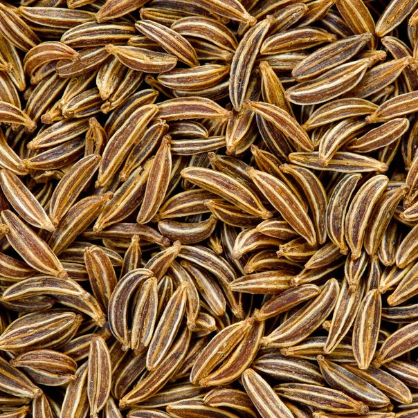 Caraway Seeds | Heirloom Non-GMO Carum carvi Herb Seeds for Culinary Use