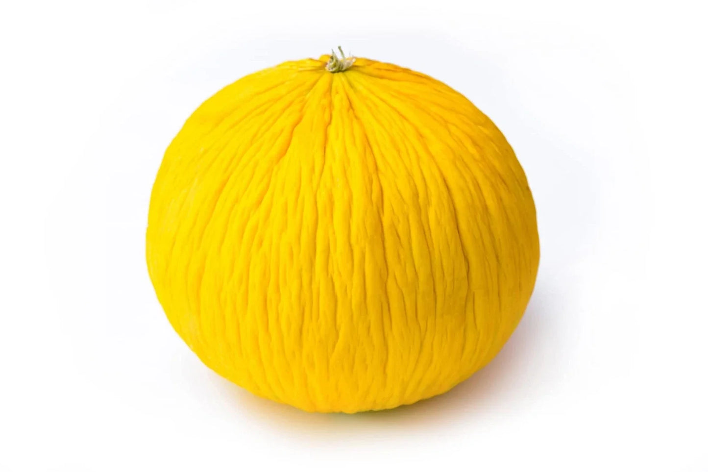 Golden Beauty Casaba Melon Seeds – 20 Count, Sweet Flavor, Easy to Grow, Cucumis melo