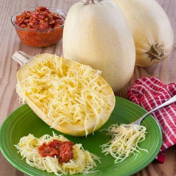 Spaghetti Squash Seeds - Organic, Non-GMO, Open Pollinated - Cucurbita pepo, Versatile Produce