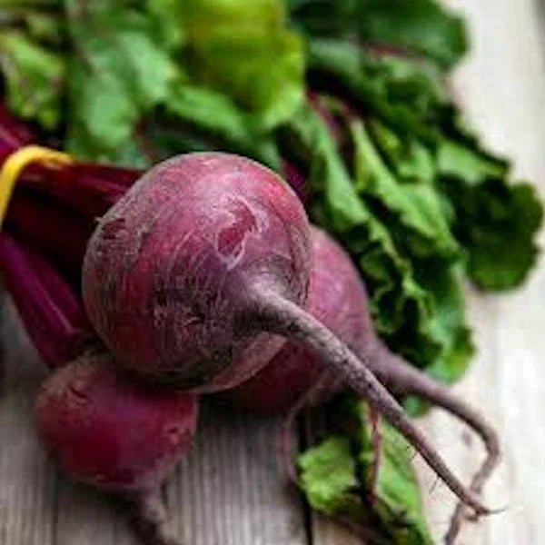 Detroit Dark Red Beet Seeds - 250 Non-GMO Seeds for Organic Gardening