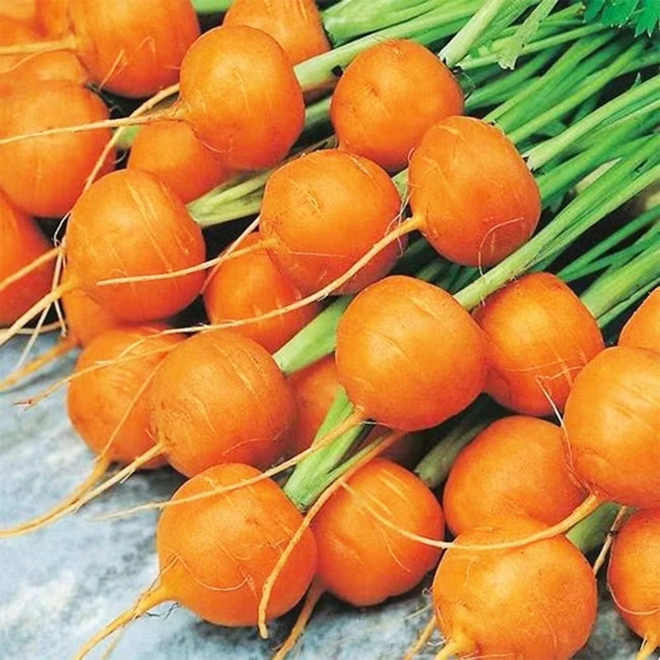 Round Parisian Carrot Seeds - Heirloom Non-GMO, Compact, Round Roots, Daucus carota, 100+ Seeds
