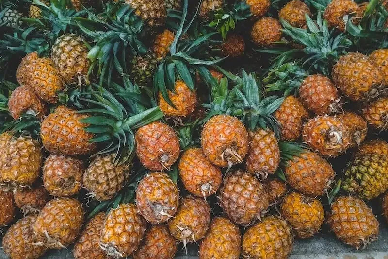 Brecheche Pineapple Seeds - 15+ Packets, Ananas bracteatus, Tropical Fruit Plant for Garden & Container Growing