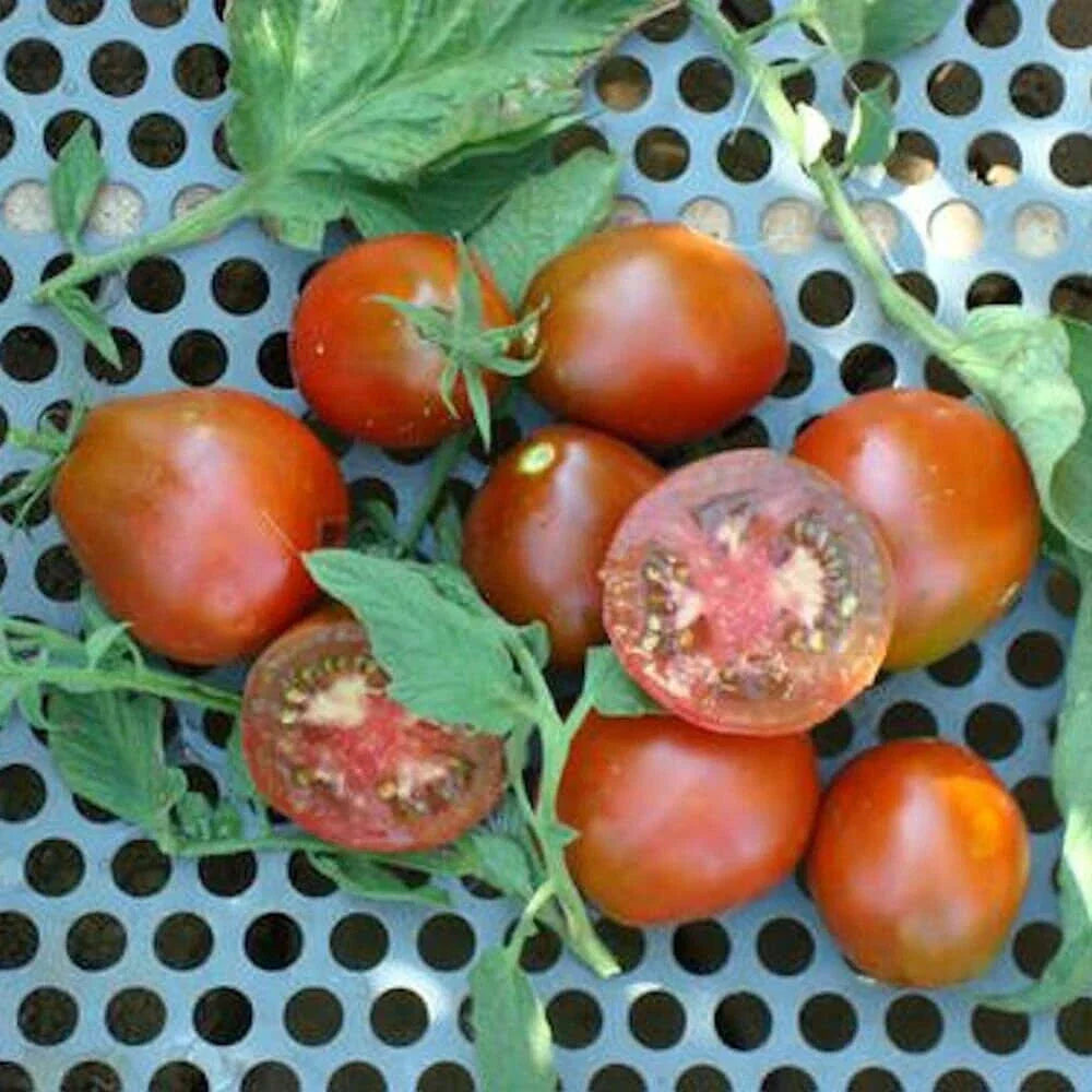 Black Truffle Tomato Seeds - Indeterminate Non-GMO Variety | Solanum lycopersicum