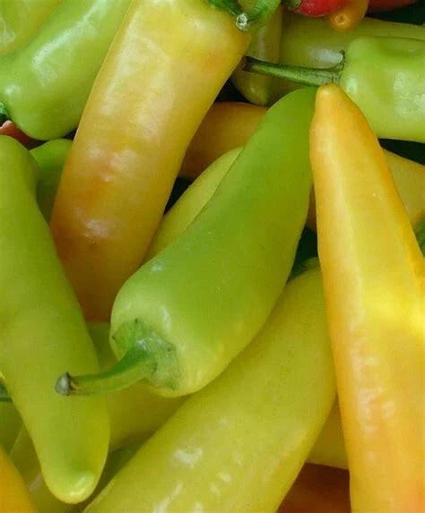 Hungarian Hot Wax Pepper Seeds - 50+ Non-GMO Capsicum annuum - US Seller