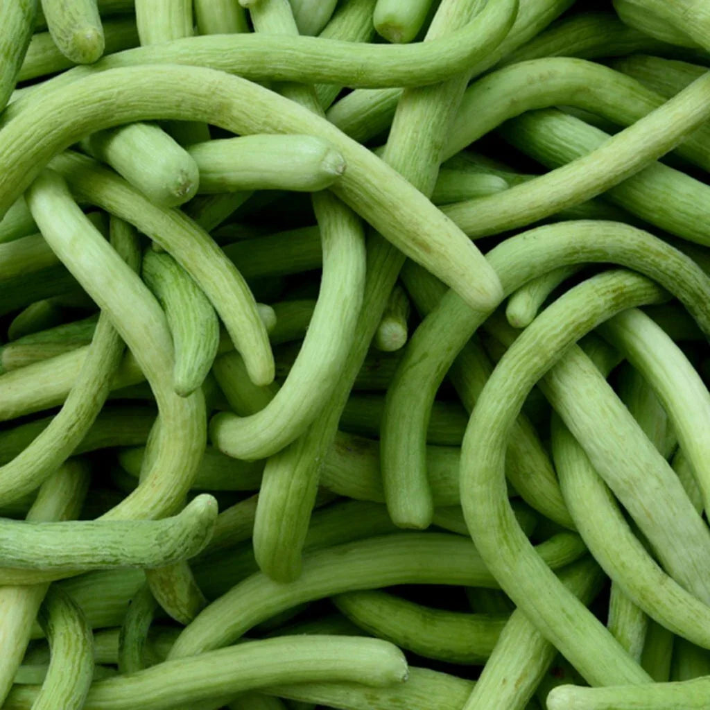 Dark Armenian Cucumber Seeds - 50+ Long Serpent Cucumis melo - USA Free Shipping